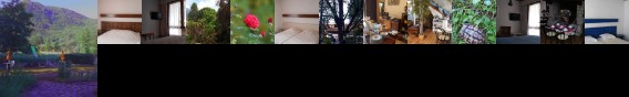 Logis Le Mas Fleuri