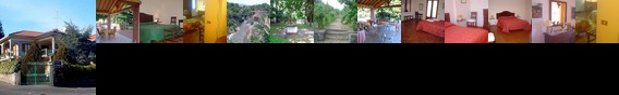 Il Vigneto Bed And Breakfast Trecastagni