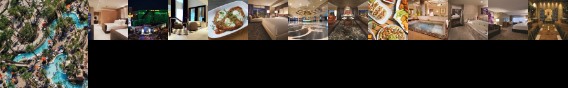 MGM Grand Hotel and Casino