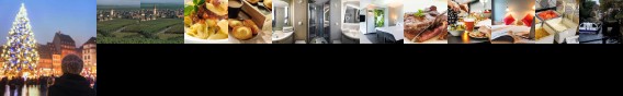 Ibis Strasbourg Sud La Vigie