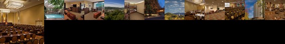Park Vista - DoubleTree by Hilton Hotel - Gatlinburg