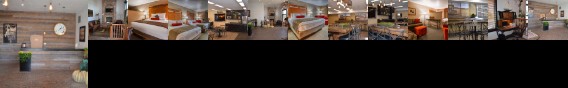 Best Western Rory And Ryan Inn Hines