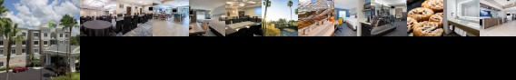 Holiday Inn Express Hotel & Suites New Tampa I-75 Bruce B. Downs