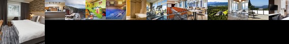 Orea Wellness Hotel Horizont