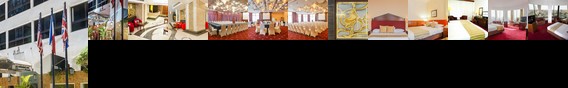 Golden Tulip Flamenco