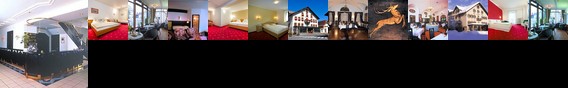 Hotel Goldener Hirsch Reutte