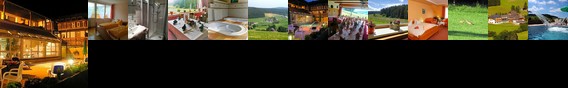 Kaltenbach Hotel
