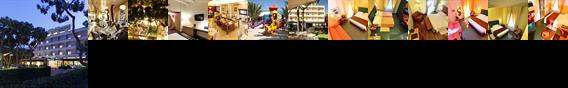 Hotel Cristallo Giulianova