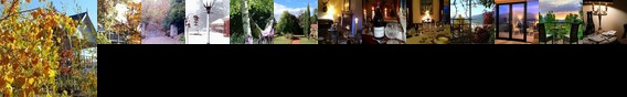 Birches Luxury Spa Chalets