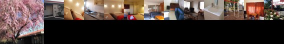 Airport Lodge Motel