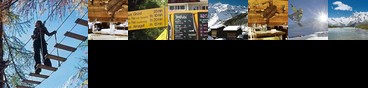 Dom Hotel Saas-Grund