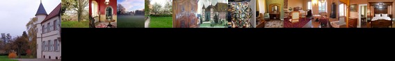 Chateau De Werde Matzenheim