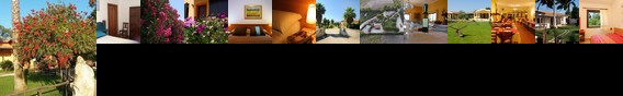 Agriturismo I Vigneti Olmedo