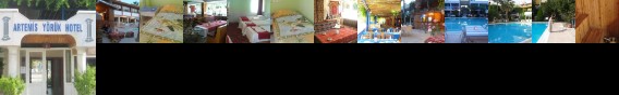 Artemis Yoruk Hotel