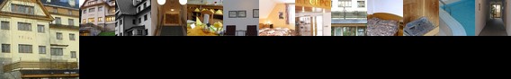 Hotel Vydra
