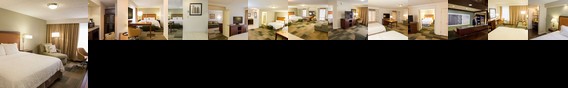 Hampton Inn & Suites Albany - Downtown