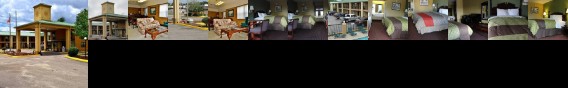 Executive Inn Opp