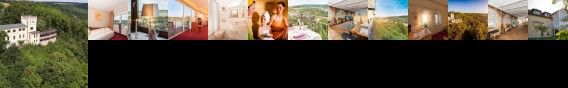 Flair Wilhelmsburg Hotel Burgenlandkreis