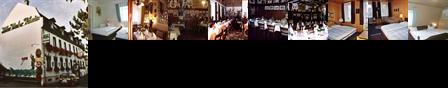Hotel Alter Vater Rhein