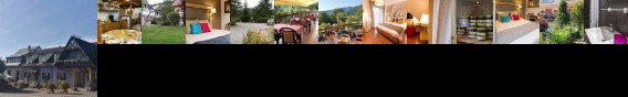 Inter Hotel A L'Arbre Vert Wintzfelden