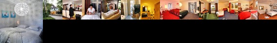 Hotel Viva Creativo