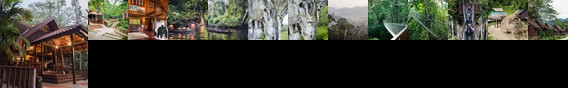Mutiara Taman Negara