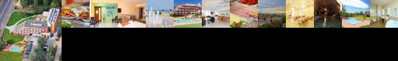 Margareta Hotel Balatonfured