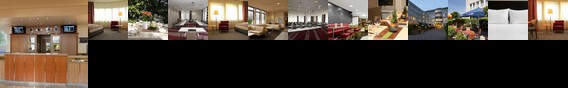 Holiday Inn Frankfurt Airport Neu Isenburg