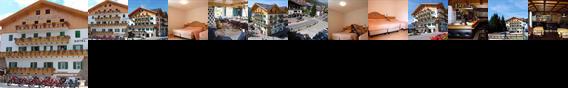 Rosa Hotel Vigo di Fassa