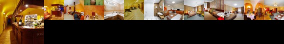 Hotel U Leva