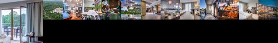 Holiday Inn Warsaw - Jozefow