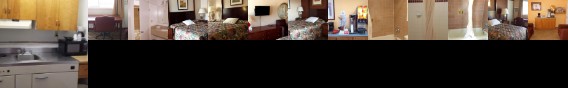 Executive Inn & Suites Lakeview