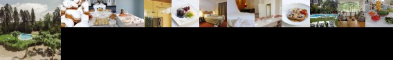 Hotel Das Termas Curia