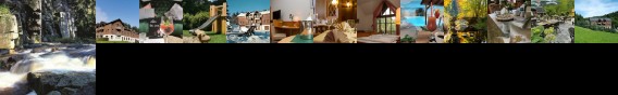 Flair Hotel Schwarzbeerschanke