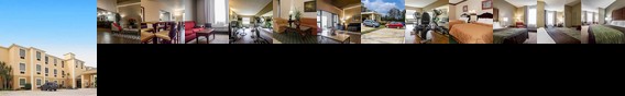 Comfort Inn Amite