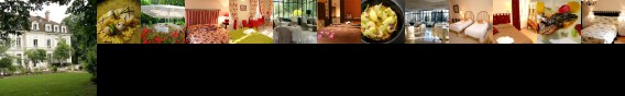 Chateau de La Dame Blanche Hotel Geneuille