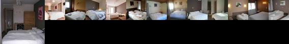 Logis Les Chataigniers Hotel Saint-Jorioz