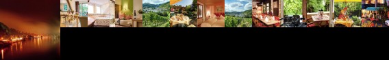 Flair Hotel Boemers Mosellandhotel