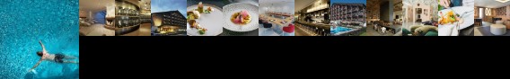 Lowen Hotel Schruns
