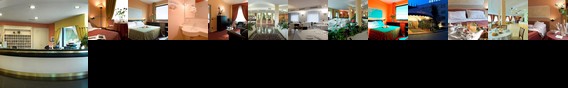 B & H Hotel Bifi's Casalmaggiore