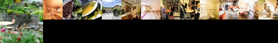 Felschbachhof Wald Hotel Kusel