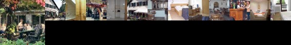 Landhotel Niederthaler Hof Schlossbockelheim