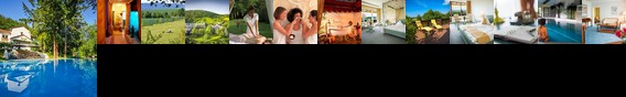 Hotel Maasberg Therme Bad Sobernheim