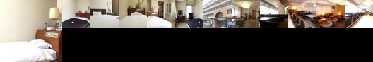 Hotel Sky Court Kawasaki