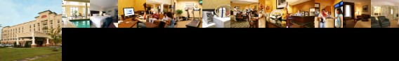 Hampton Inn Suites Dobson