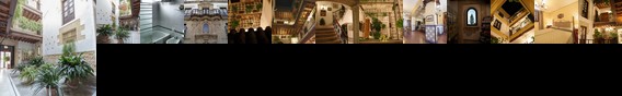 Casa Palacio de Los Leones