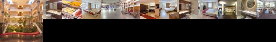 Holiday Inn Elche