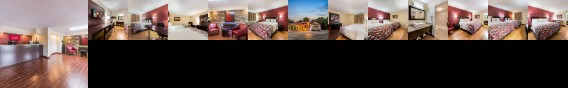 Super 8 Motel Marion (Indiana)