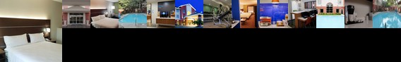Holiday Inn Express Hotel & Suites Weslaco