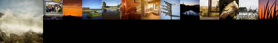 Birds Ferry Lodge